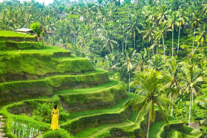 Ubud temples